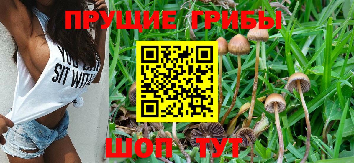 Галлюциногенные грибы Psilocybine cubensis  Галлюциногенные грибы Cubensis  Ярцево  где купить наркоту  Вход с VPN 